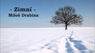 Video Zimní - Miloš Drabina