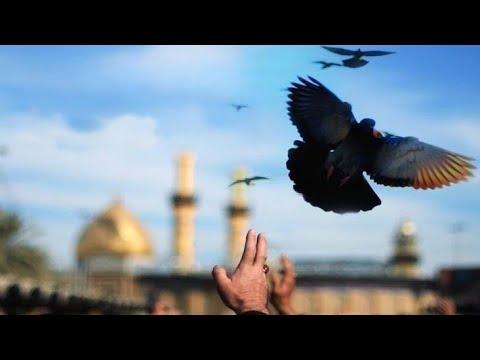 Ya Zeyneb - Zeynebe ses ver ay baba - yeni versiya