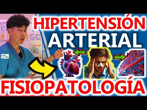 Arterial Hypertension: Pathophysiology | GuiaMed