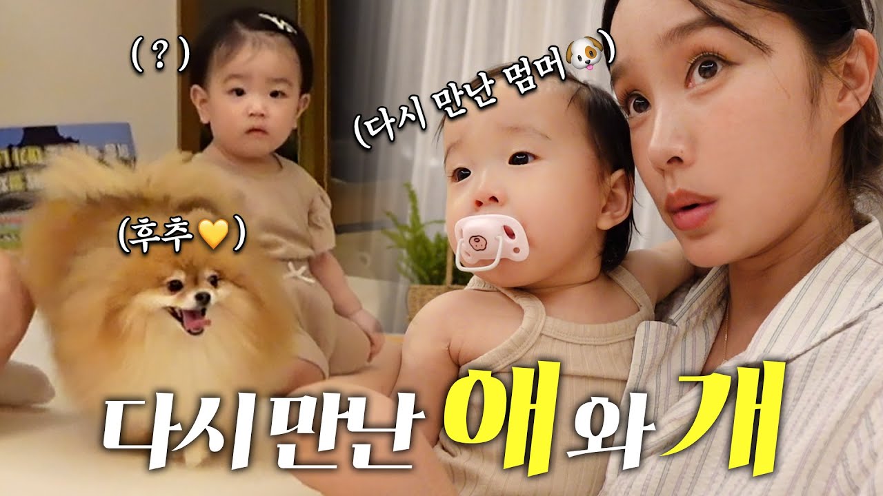 또 찾아온 13개월 인생 최대 난관 🤯 (성종님 팬미팅, 예방접종)