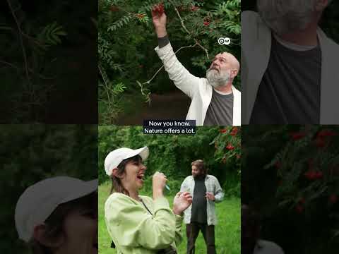 Urban Foraging -Food On The Roadside 🫐 | Dw Documentary