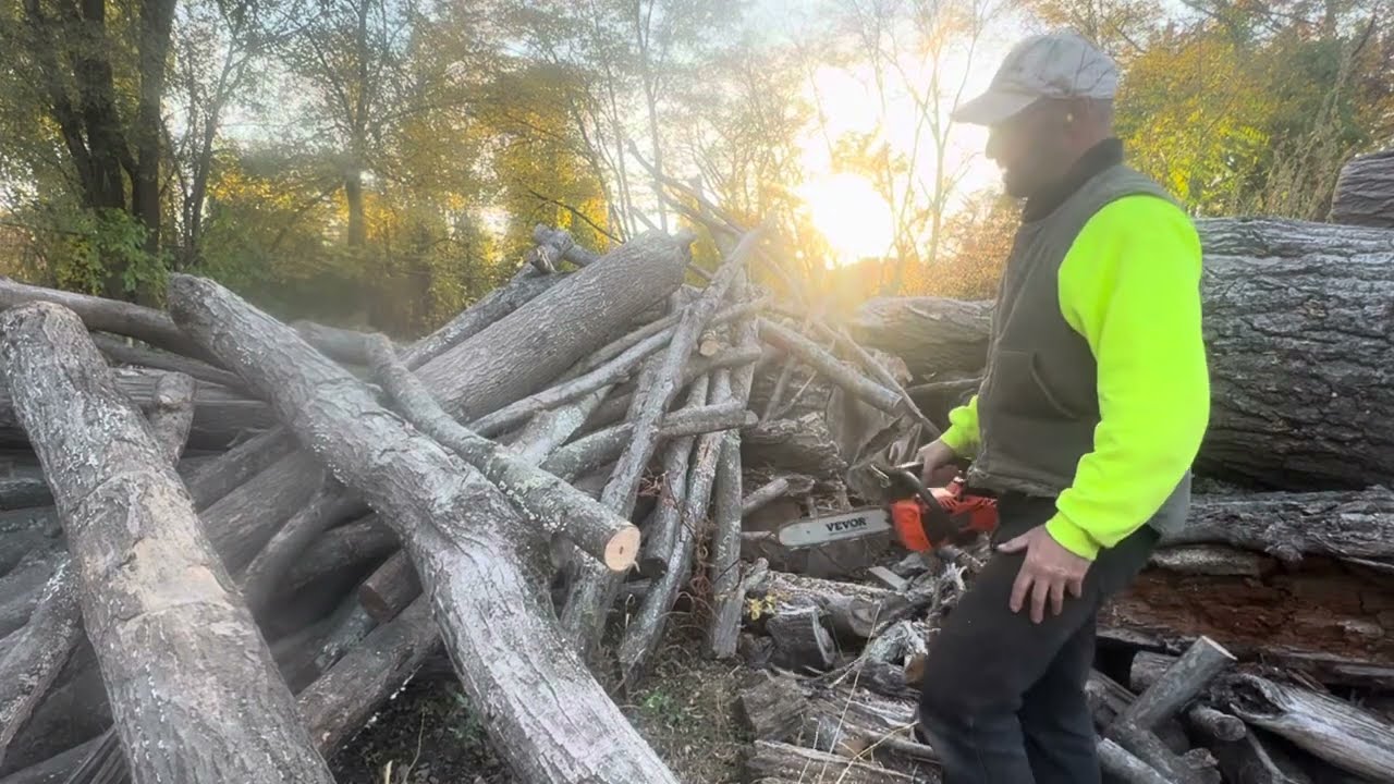 Testing new Vector saw. #chainsawman