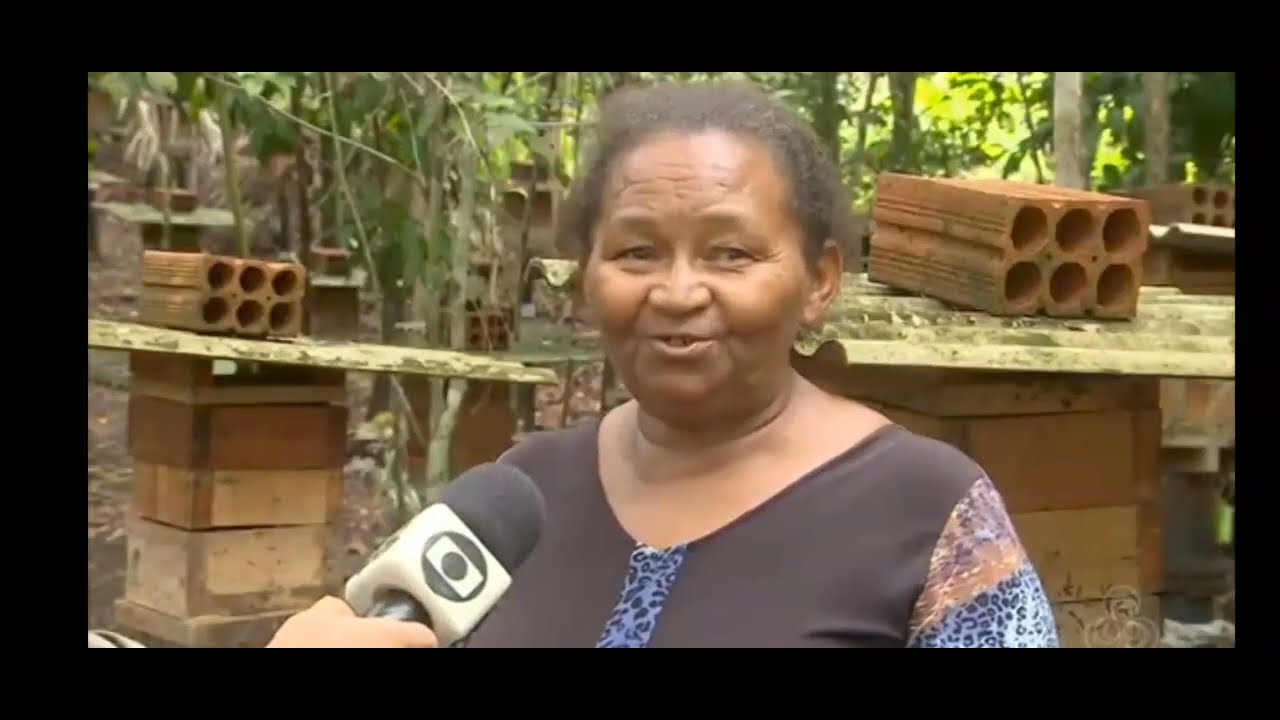 Reportagem ASF #022 Globo - Abelhas Nativas Sem Ferrão - Quilombolas investem na criação de abelhas