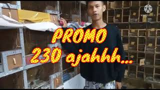 Download lagu PROMO...PROMOO BOSS KACERTROTOL DI KIOS JHON TANGERANG 230 AJAH BOSSS....... mp3