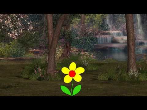 Gdje je onaj cvjetak žuti