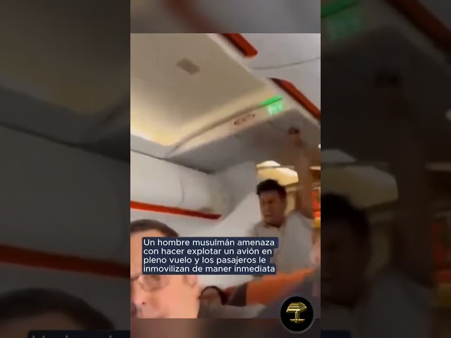 Dentro de un avión