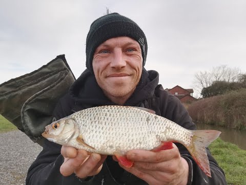 Stick float fishing for big rudd and roach. On small river.