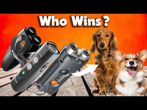 Best Dog Repeller | Who Is the Winner #1?