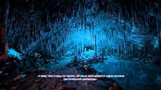 Купить Dear Esther: Landmark Edition