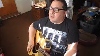 Guitar Vocal Cover Joe Walsh Second Hand Store Any Way The Wind Blows Guitars Vocal Sing Singing