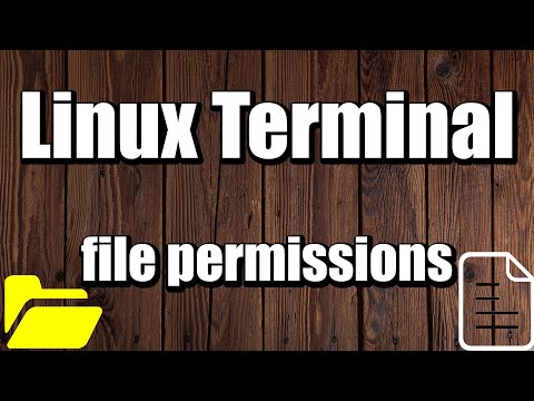 Linux Terminal Changing File Ownership and Permissions