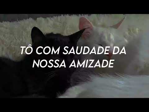 Não fosse tão tarde- Lou Garcia