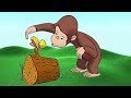 Discovery Kids Desenho George O Curioso Em Português