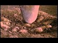 Opening To Tarzan 2000 VHS True HQ
