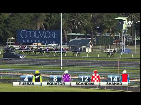 2013 Moet and Chandon Champagne Stakes- Guelph