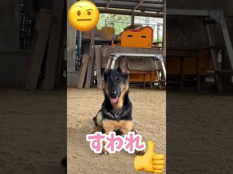 Watch on YouTube