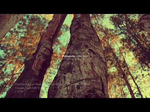 Feathered Sun feat Christopher Schwarzwalder & Nu / Ocean Tree