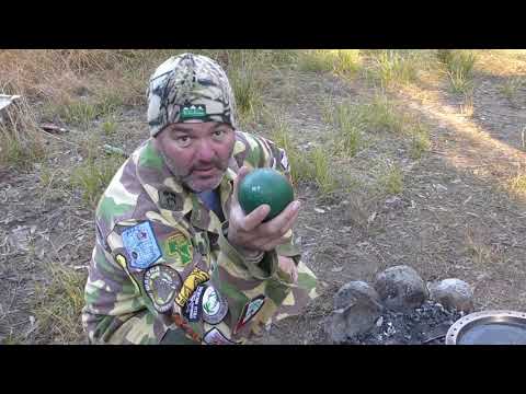 Heiman Habitat - Bush Tucker - Emu Egg Cook Up