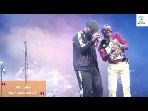 BIG IN JAZZ COLLECTIVE