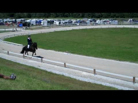 OSI Hirtenhof 4.6. - V1-VE - www.isibless.de