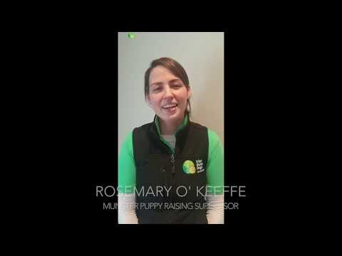 Rosemary O' Keeffe Munster Puppy Raising Supervisor