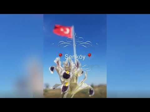 Şenköy'ün çeşitli yerlerinden çekilen resimleri.