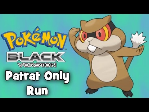 Pokemon Black - Patrat Only Run