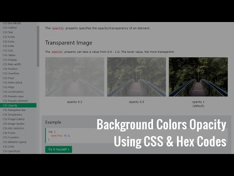 How To Add Opacity In Background Colors Using CSS or Hex Codes?