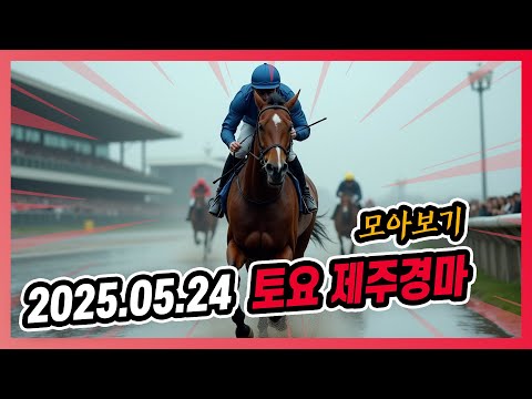 2025년 5월 24일 토요 제주경마 전체경주 모아보기