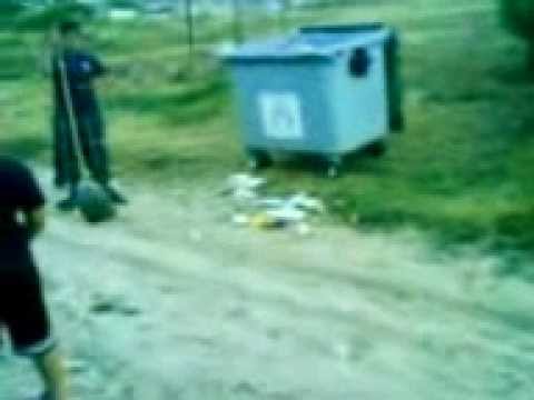 sarca ionut -capra cu gunoiu