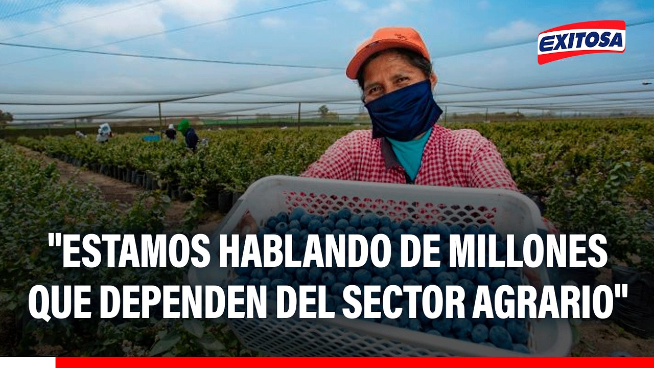 🔴🔵 Cuestionan a Juntos por el Perú por propuestas que pondrían en riesgo las agroexportaciones