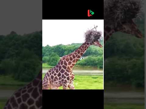 Discover the Extraordinary: Unbelievable Phenomena in Our World