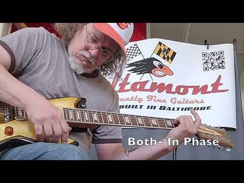 Custom Offset 12-String Guitar- Handbuilt in Baltimore- NOW SHIPPING image 7