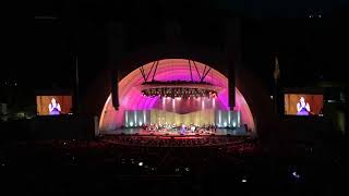 Pink Martini  | 'Let's Never Stop Falling In Love' Hollywood Bowl 2017