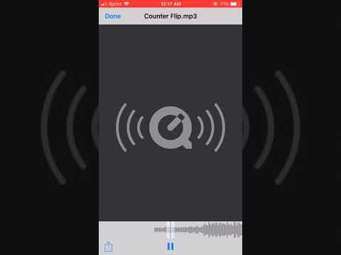 Yung Shan - Counterflip