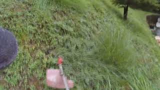 ★ニシガキの草刈バリカンと、中国製バリカンを比較してみた