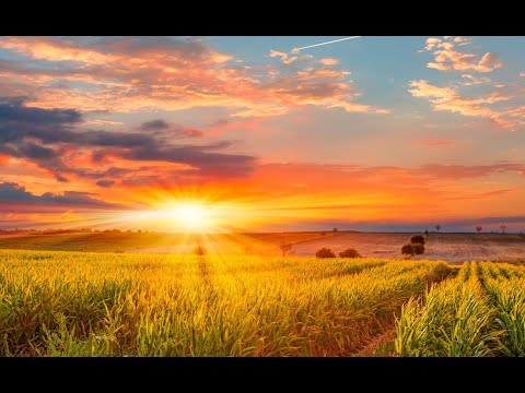 Amazing Grace by Gloriae Dei Cantores