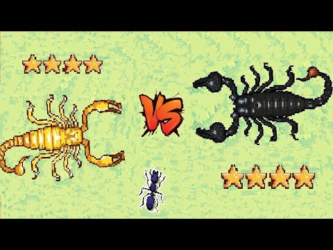 EMPEROR SCORPION VS GOLDEN SCORPION - Pocket ants