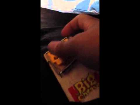 How to set the big cheese mouse and rat trap