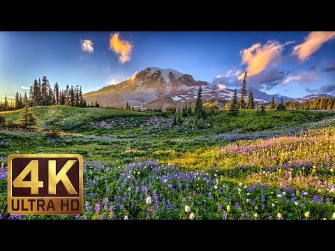 3 Hours Relaxing and Soothing Piano Music With the 4K images of Flower Fields - Part 11