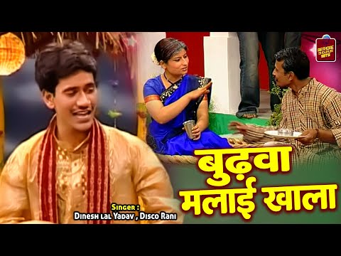 Dinesh Lal Yadav का सुपरहिट भोजपुरी सांग - बुढ़वा मलाई खाला - Budhwa Malai Khala - Bhojpuri Song 2022