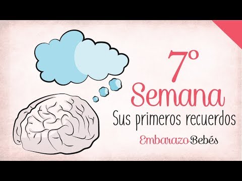 WEEK 7 of #Pregnancy | 2nd Month | Week by Week