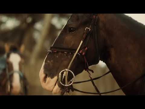 Naira marley ft. busiswa (coming offical video )