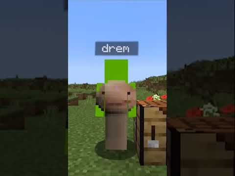 Padsu Gaming 1.M - mincraft but,you spell to craft...