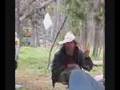 Little Hawk The Legend Of The EverGreen Trees