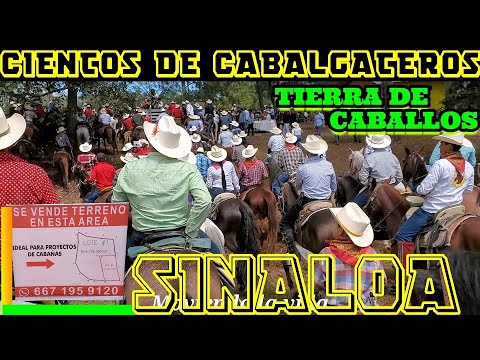 SINALOA, TIERRA DE CABALLOS. SURUTATO 2022🐴BAJANDO LA SIERRA Y HERMOSOS PAISAJES.🐴🐴🐴