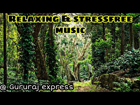 Relaxing and stressfree music @GURURAJENTERTAINMENTCHANNEL