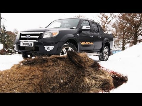 Fieldsports Britain – British wild boar + the Quantock Staghounds Fieldsports Britain – British wild boar + the Quantock Staghounds