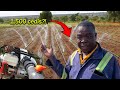 Irrigating A 10 Acre Pepper Farm Irrigation System On A Budget