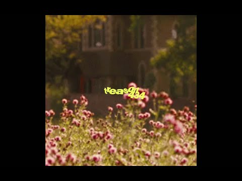 treason434 - erwachsen (prod. treason434)